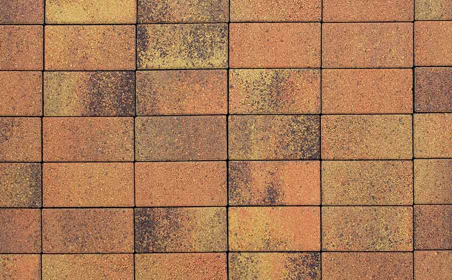Плитка тротуарная ВЫБОР ЛА-Линия 5П.8 Листопад Саванна коричнево-оранжево-желтый гладкий, 600*300*80 мм