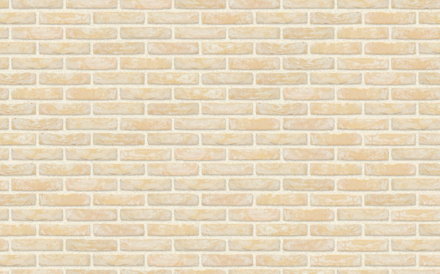 Фасадная плитка ручной формовки Nelissen FIORE / KERSENBLOESEM (old name), 210*20*50 мм