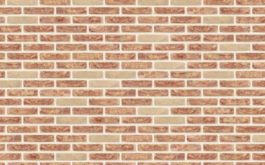 Фасадная плитка ручной формовки Nelissen SIENA ZILVER, 210*20*50 мм