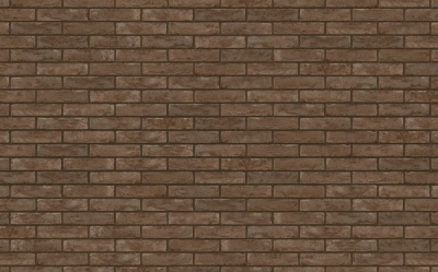 Фасадная плитка ручной формовки Nelissen MURIA / GRIJS MANGAAN (old name), 210*20*50 мм