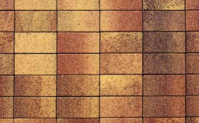 Плитка тротуарная ВЫБОР ЛА-Линия 2П.10, Листопад Осень коричнево-красно-желтый гладкий, 200*100*100 мм