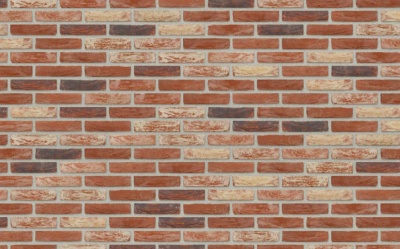 Фасадная плитка ручной формовки Nelissen CAPRI, 210*20*50 мм