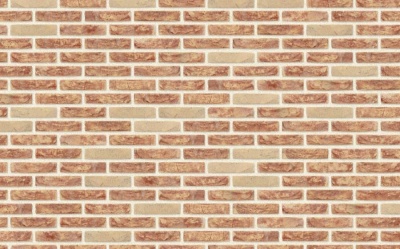 Фасадная плитка ручной формовки Nelissen SIENA ZILVER, 210*20*50 мм