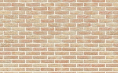 Кирпич ручной формовки Nelissen Anderlecht, 210*100*50 мм