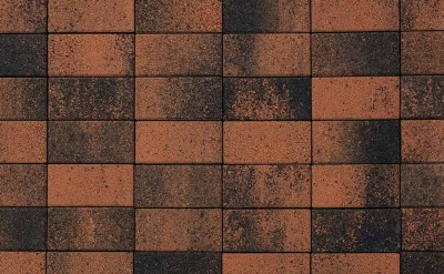 Плитка тротуарная ВЫБОР ЛА-Линия 2П.8, Листопад Мустанг оранжево-черный гладкий, 200*100*80 мм