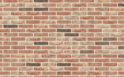 Кирпич ручной формовки Nelissen Neo Barok, 215*100*65 мм