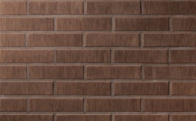 Керамическая фасадная плитка Lode Asais Brunis шероховатая RF, 250*65*10 мм