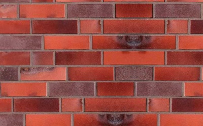 Кирпич клинкерный пустотелый ABC 8109 Oldenburg rot-bunt Schmolz mit kohlebrand гладкий, 240*55*71 мм