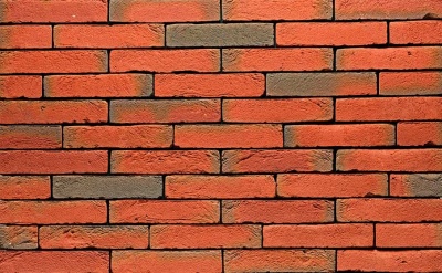Кирпич облицовочный ручной формовки Terca Pagus Iluzo Rood (ILUZO PAGUS RED), 238*88*48 мм