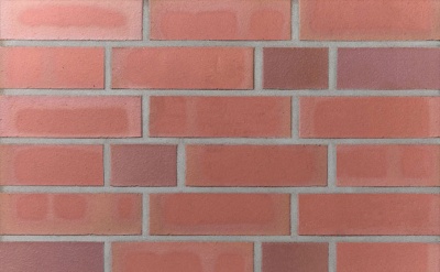 Кирпич облицовочный клинкерный пустотелый Terca Scharmbeck Bunt, 240*115*71 мм