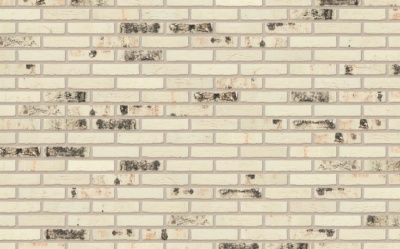 Кирпич керамический полнотелый Nelissen Rodruza Wit Sintered рельефный, 215х100х65 мм