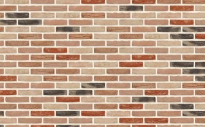 Кирпич ручной формовки Nelissen Hoevesteen T15, 215*50*65 мм