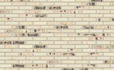 Кирпич керамический полнотелый Nelissen Rodruza Wit Sintered рельефный, 210*100*50 мм