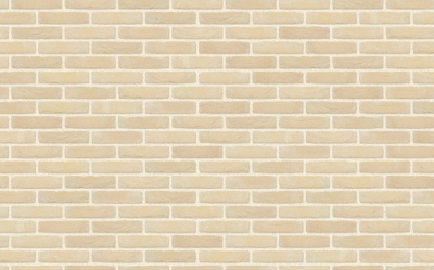 Кирпич ручной формовки Nelissen RUBIO / APPELBLOESEM (old name), 215*50*65 мм