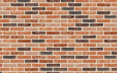 Кирпич ручной формовки Nelissen Robinia, 215*50*65 мм