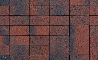 Плитка тротуарная ВЫБОР ЛА-Линия 2П.4, Листопад Клинкер гладкий, 200*100*40 мм