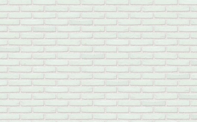 Кирпич керамический Nelissen BLANCO, 215*100*65 мм