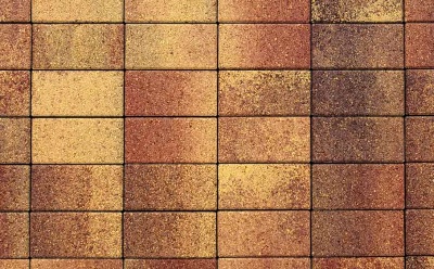Плитка тротуарная ВЫБОР ЛА-Линия 2П.8, Листопад Осень коричнево-красно-желтый гранит, 200*100*80 мм