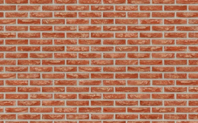 Кирпич ручной формовки Nelissen Wijnegem, 215х50х65 мм